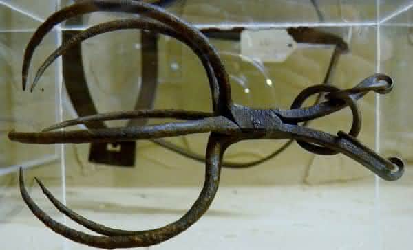 aranha espanhola instrumento de tortura
