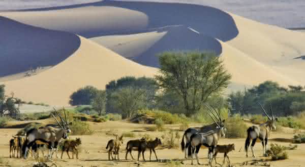 namibia entre os paises menos densamente povoados do mundo